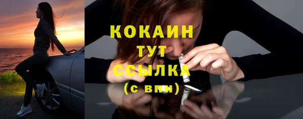 бошки Бронницы