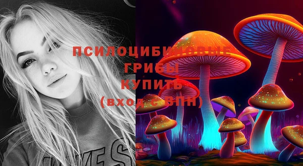 метадон Бородино