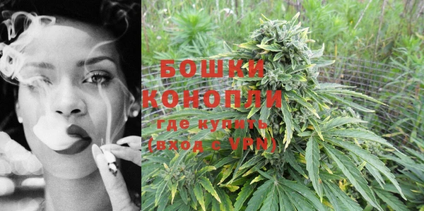 бошки Бронницы