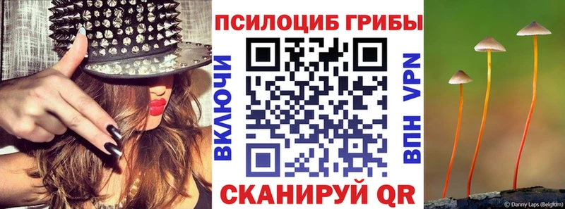Галлюциногенные грибы Magic Shrooms  купить  цена  Ессентукская 